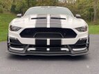 Thumbnail Photo 11 for 2020 Ford Mustang